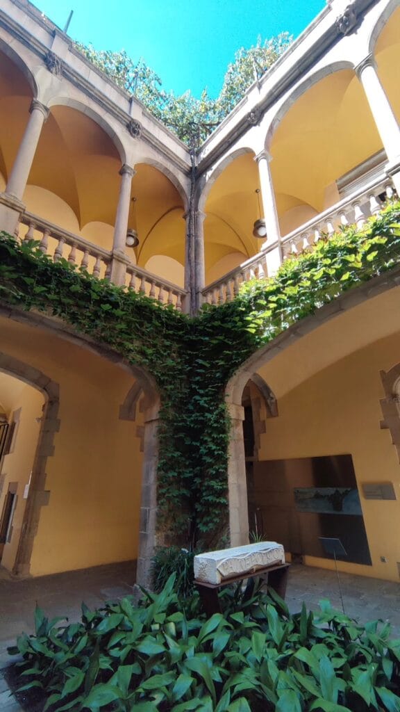 Ivy-draped Gothic cloister courtyard in the Barri Gotic, Barcelona