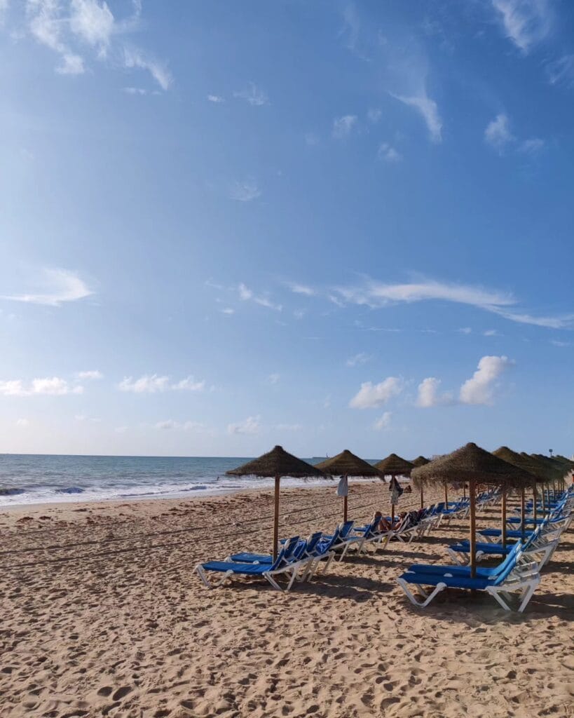 Row of thatched parasols on a golden Cadiz beach under a clear sky