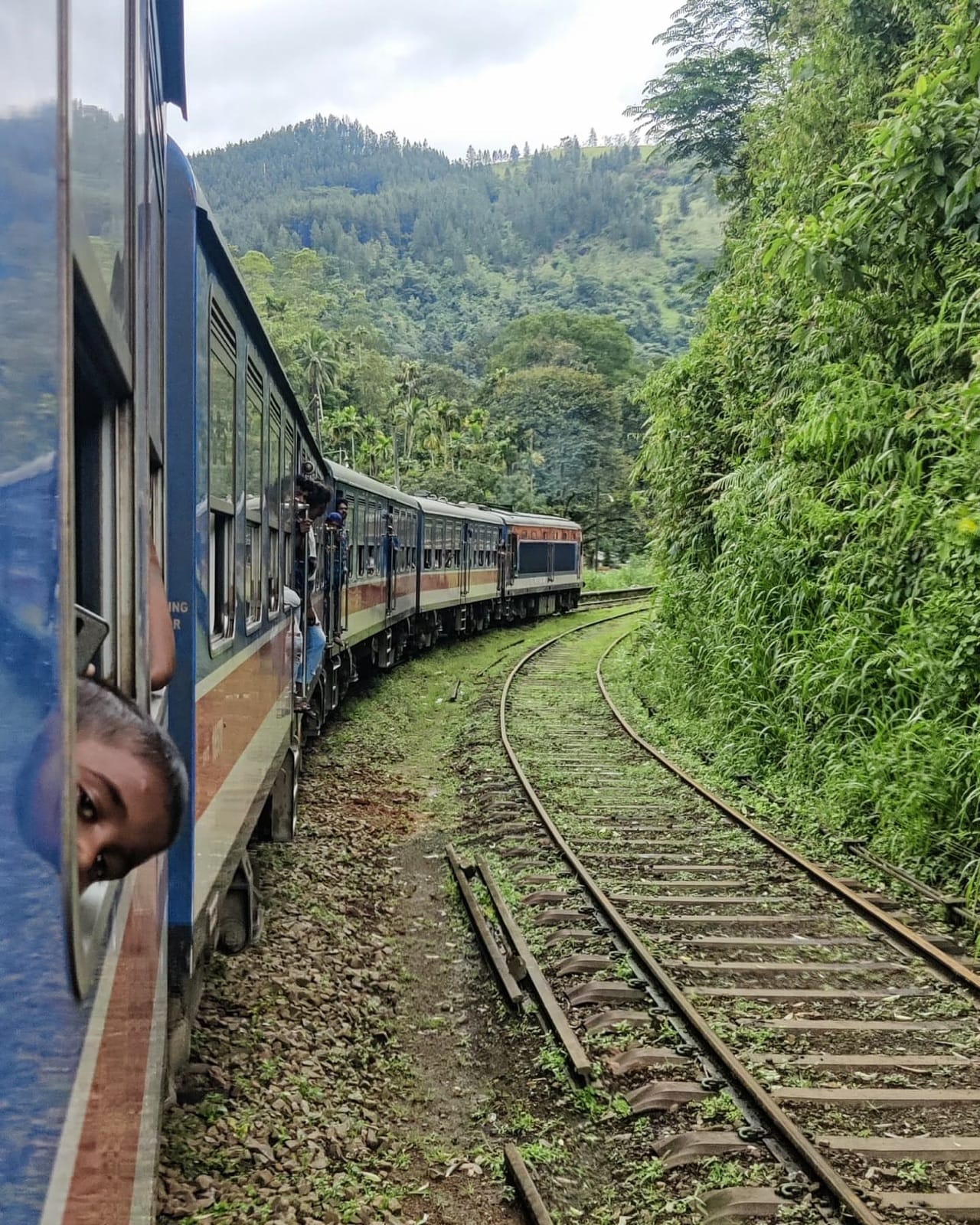 The train curving through thick jungle with a kid's head out of the window