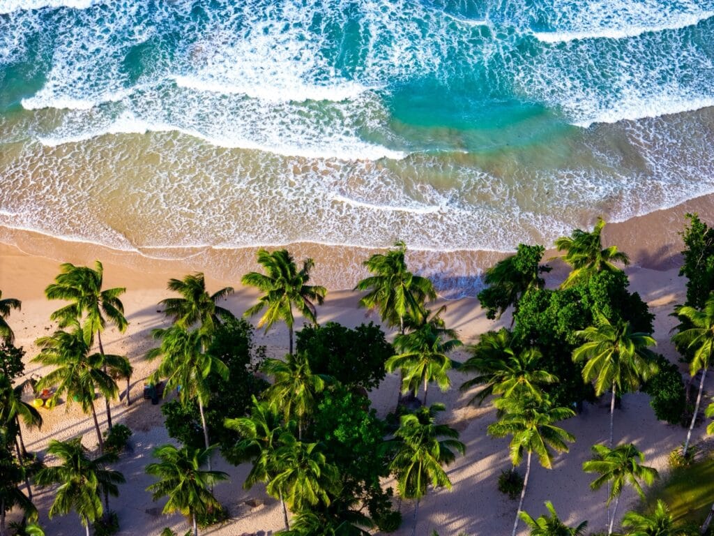 Aerial view of a palm-fringed bay and turquoise surf on Sri Lanka's south coast