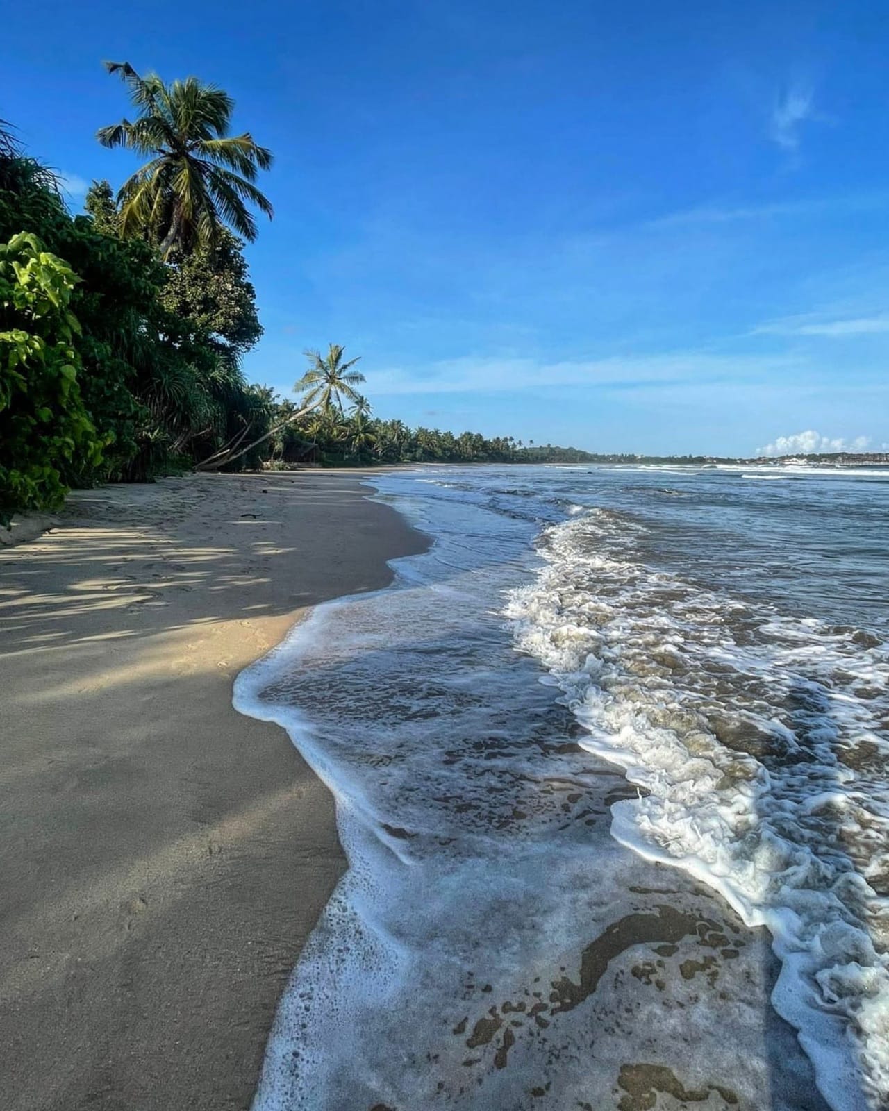 Empty beach with leaning palm trees and surf foam at Hiriketiya