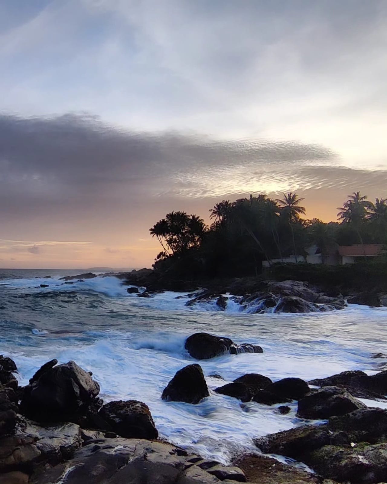 Golden hour waves breaking on the rocks below palms at Hiriketiya point