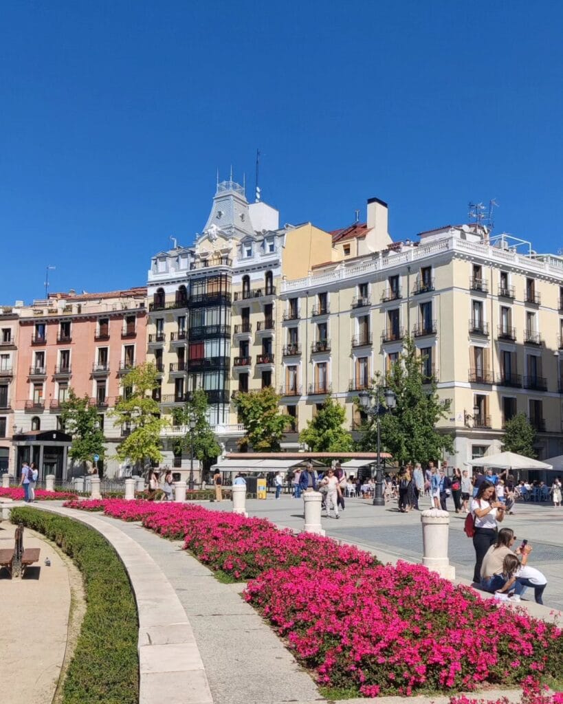 Pink flower beds and grand buildings around the Plaza de Oriente, Madrid