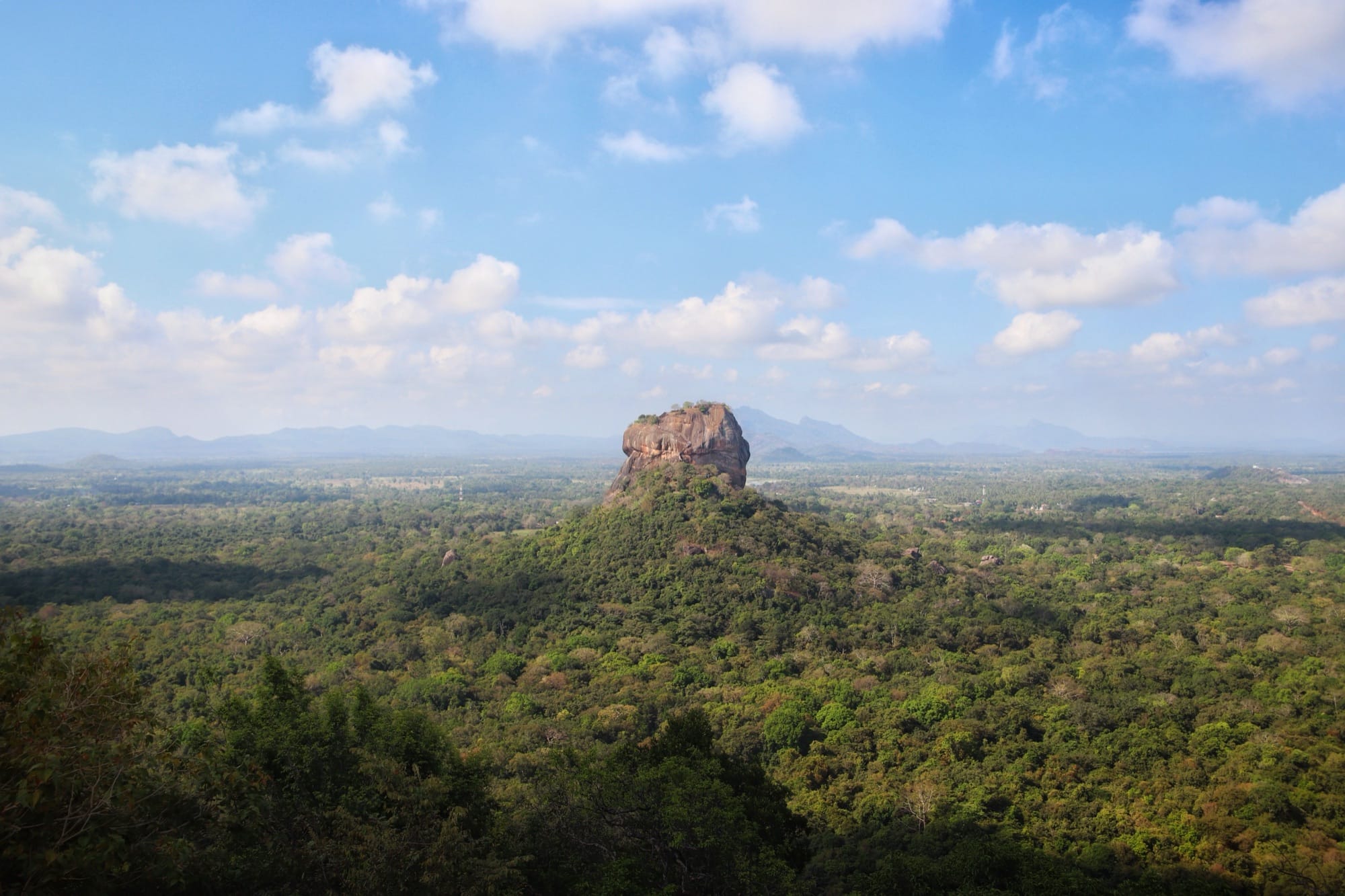 Sigiriya Lion's Rock fortress rising above the jungle canopy in Sri Lanka