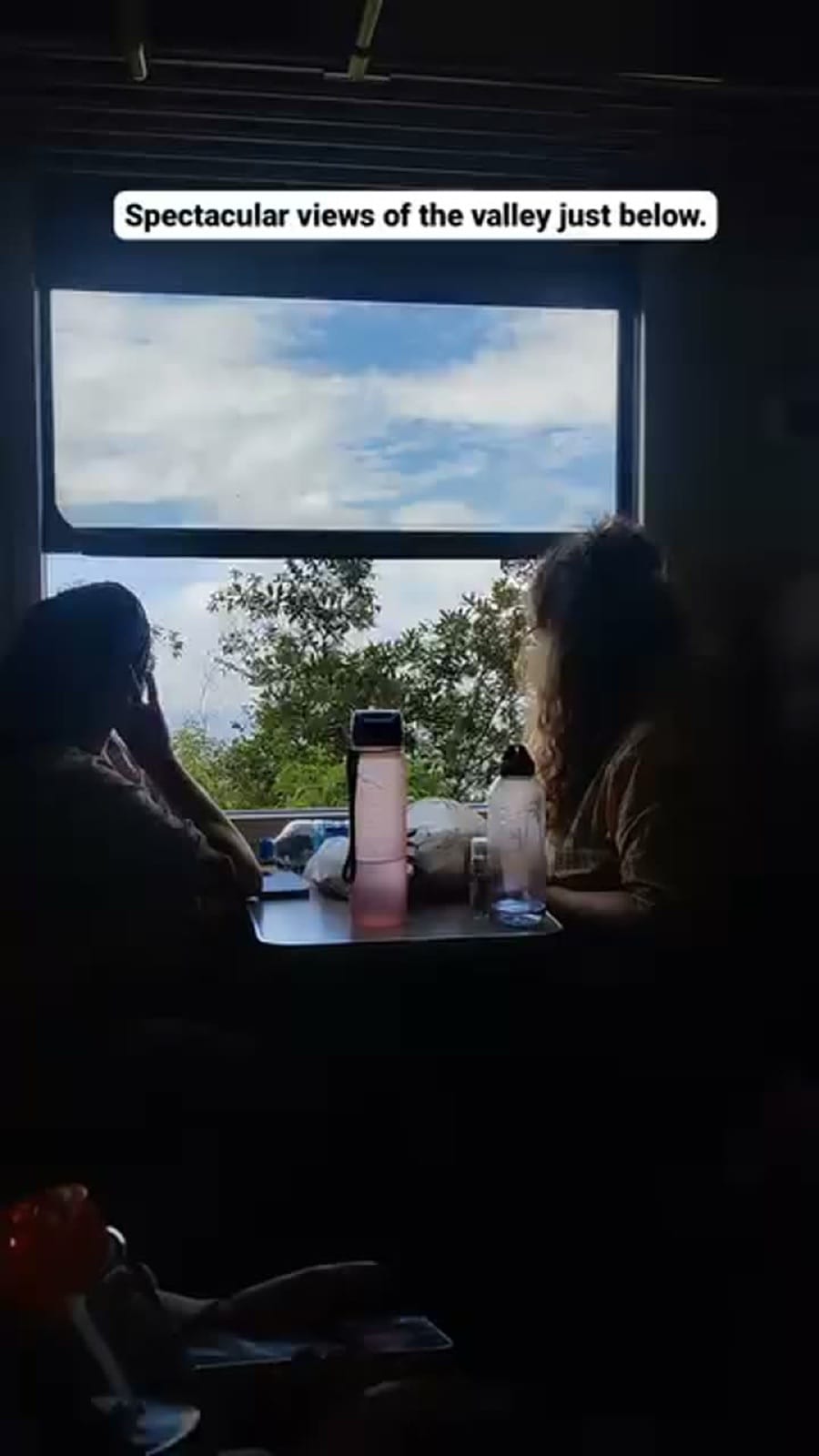 Spectacular valley views and tea estates from the blue train