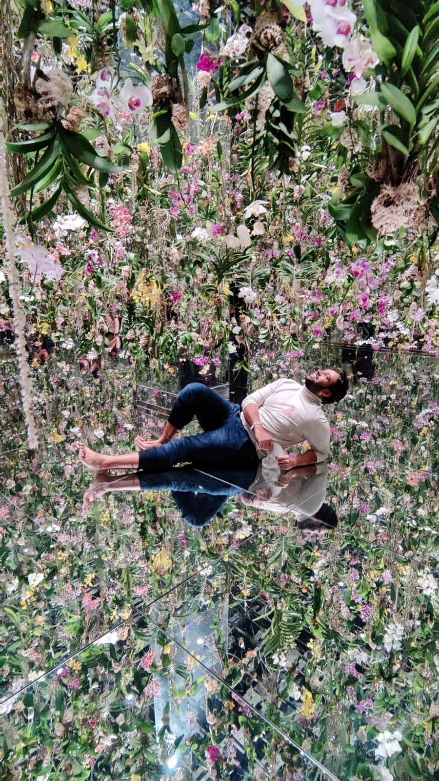 The author reclining on the mirrored floor beneath a canopy of hanging orchids at teamLab Planets