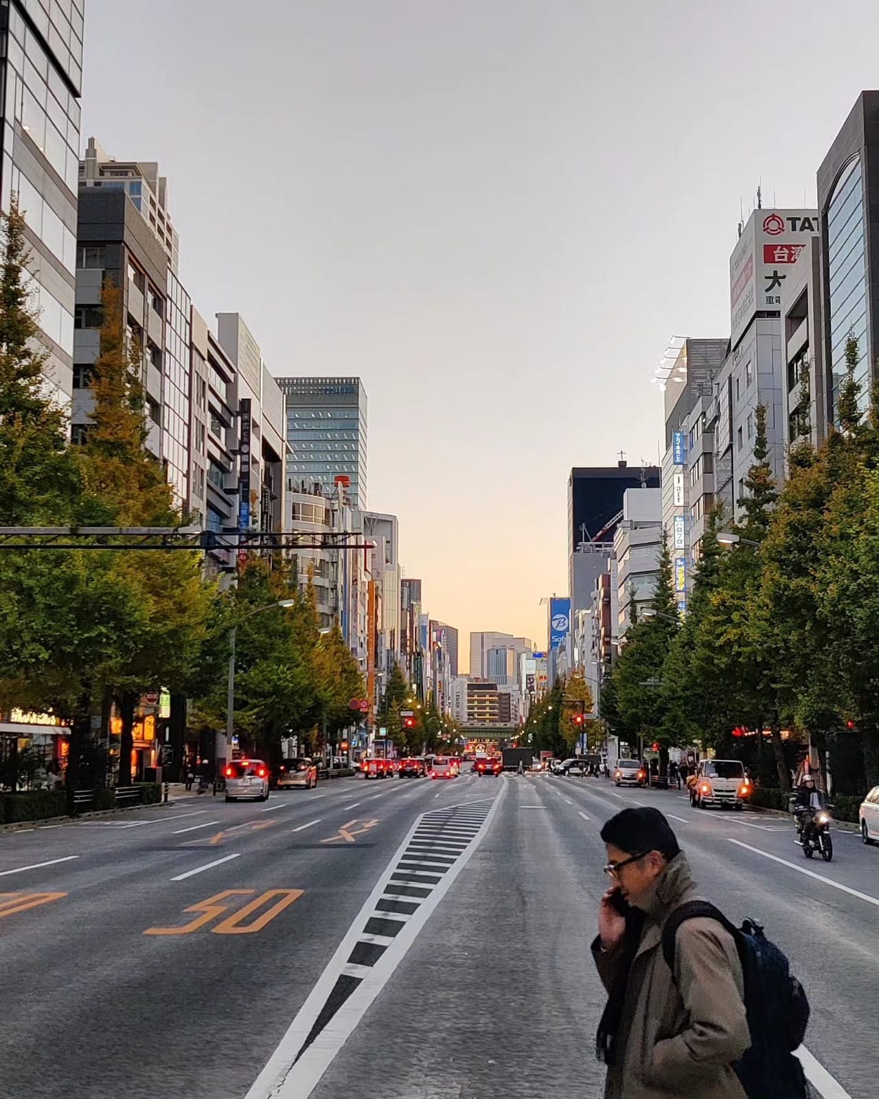 A long Tokyo avenue at dusk lined with golden autumn ginkgo trees near Akihabara