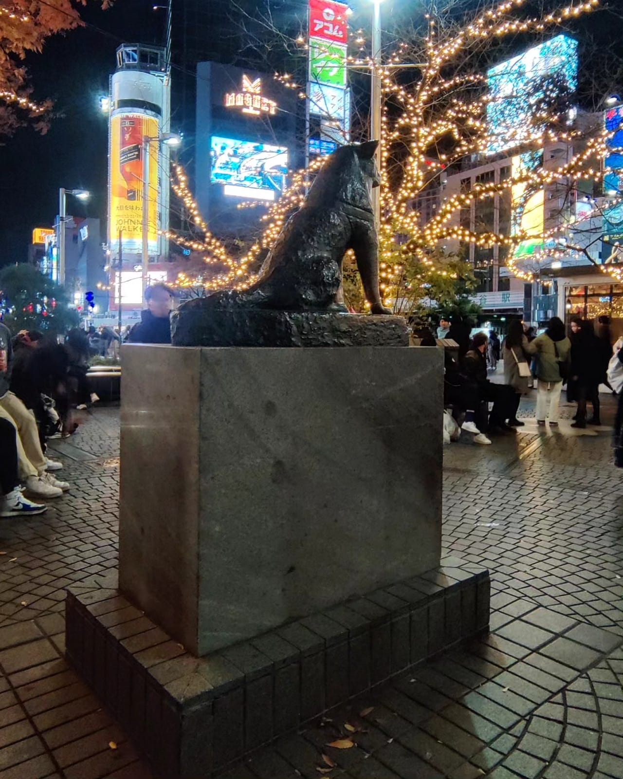 The bronze Hachiko statue outside Shibuya Station framed by December illuminations