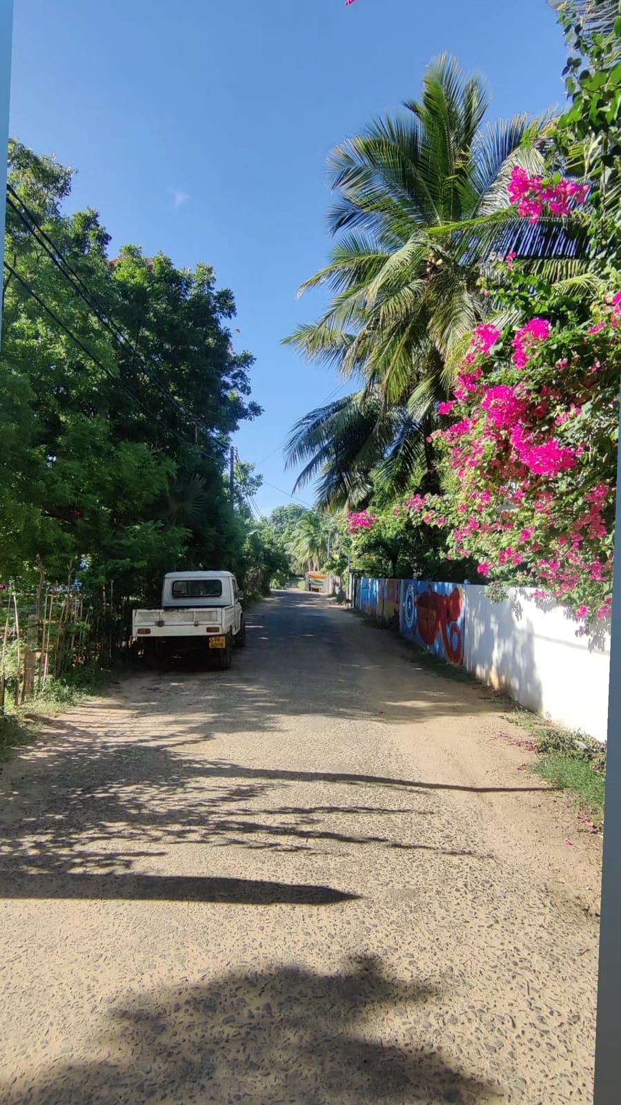 Quiet village road lined with bougainvillea near Uppuveli, Trincomalee