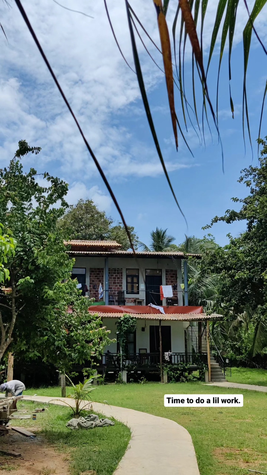 The lawn and coconut trees on the walk to the desk at CLICS Coliving, Hiriketiya