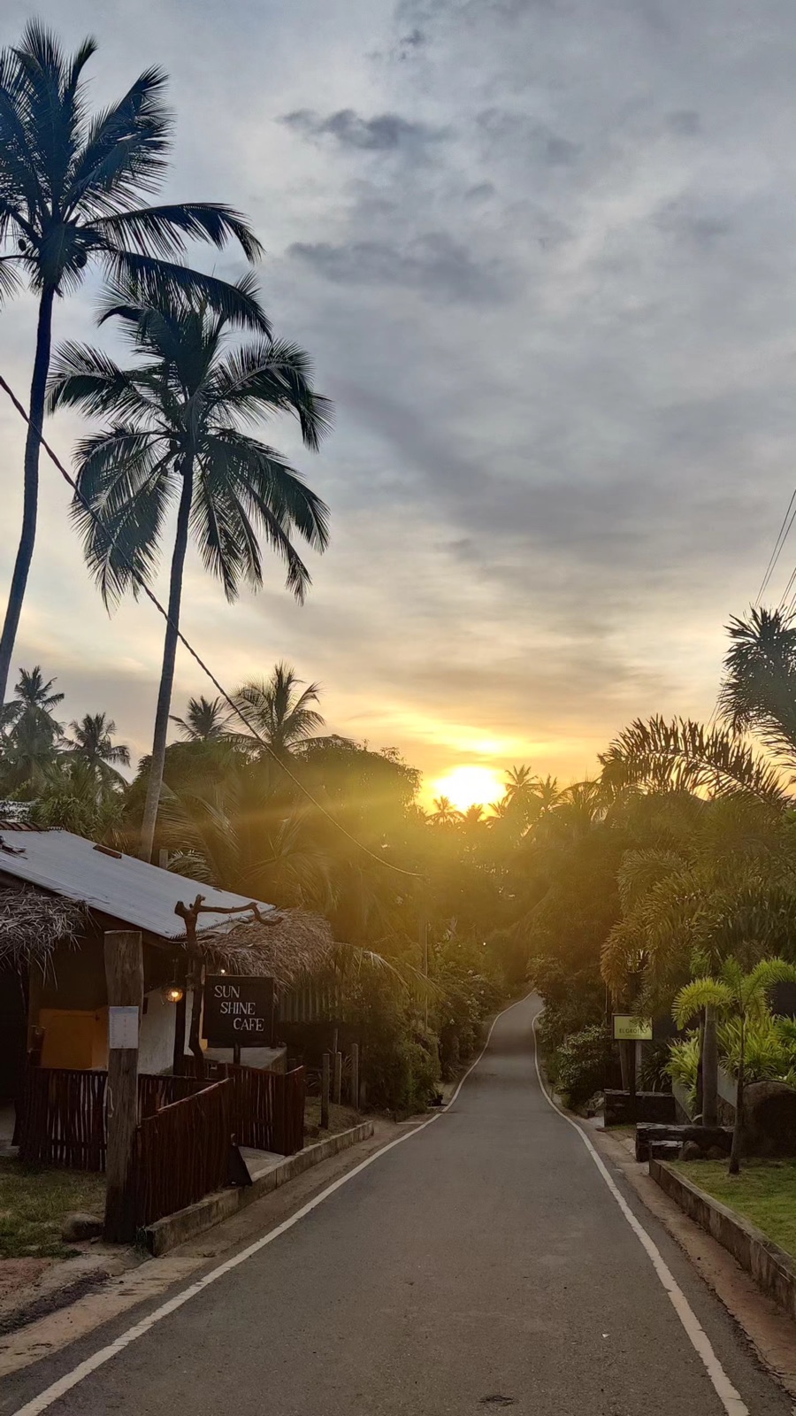 Golden hour light pouring down the palm-lined road to Hiriketiya beach