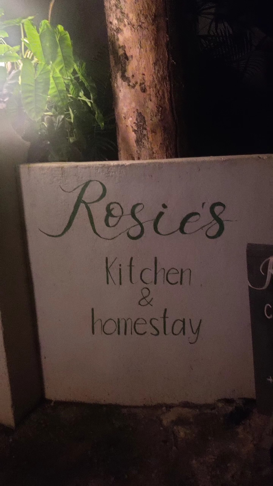 Hand-painted sign for Rosie's Kitchen & Homestay in Hiriketiya, lit up at night