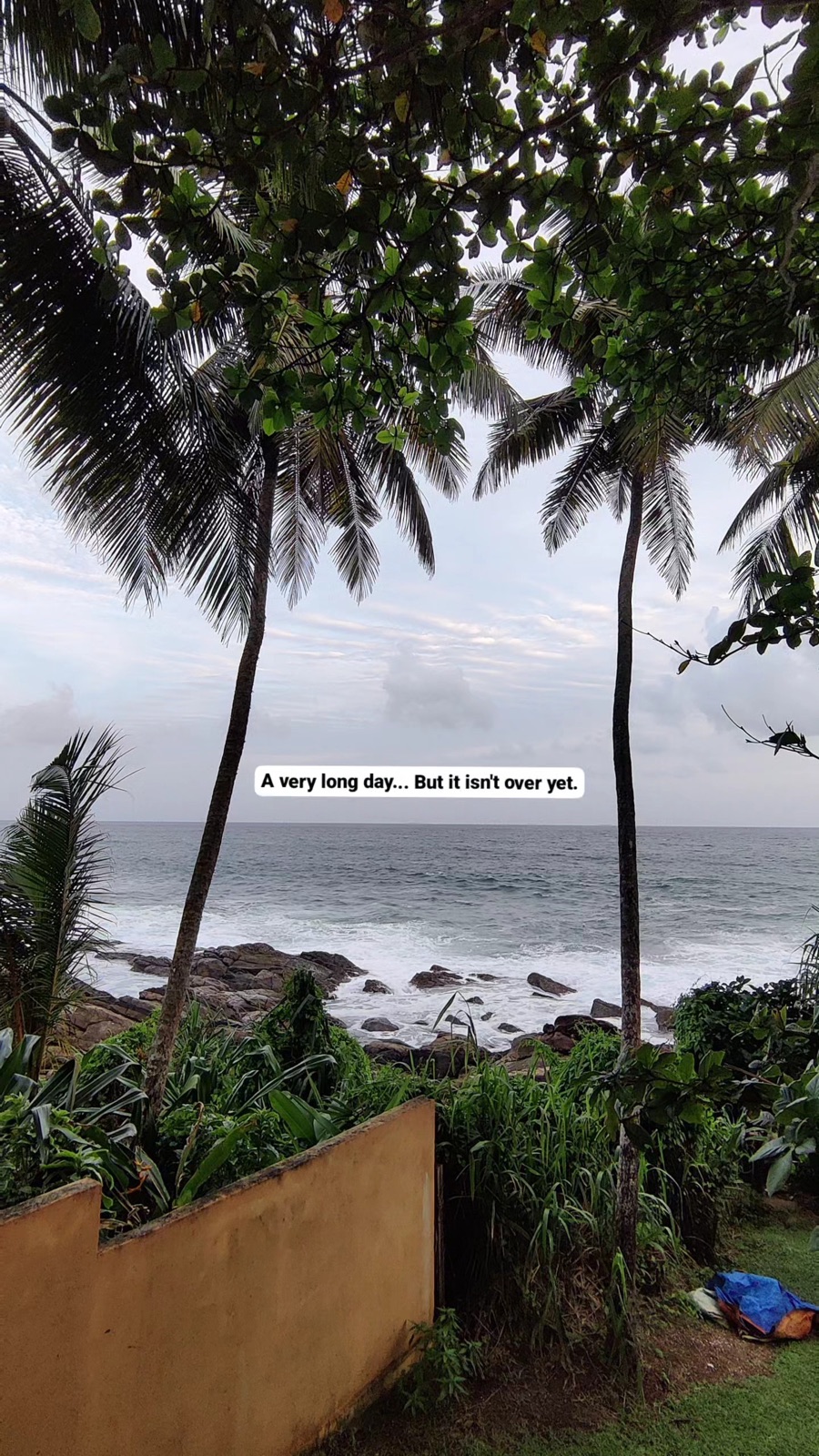 Waves rolling onto the rocks between two palms at Hiriketiya