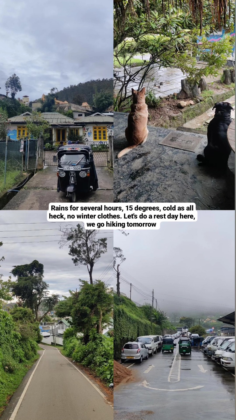 Story collage of rainy Nuwara Eliya streets: hours of rain, 15 degrees, rest day