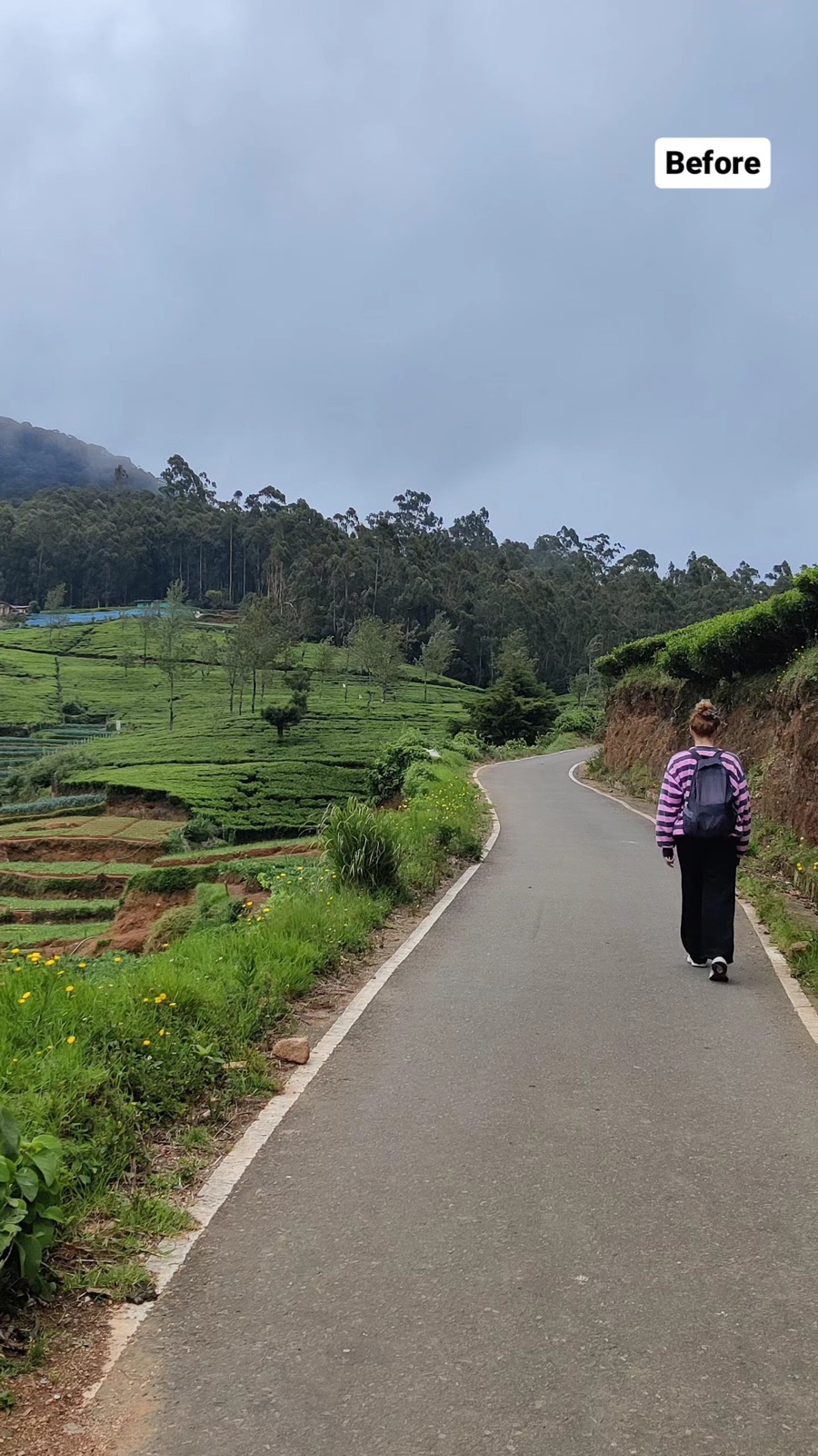 Before: a quiet road curving through tea country on the Pekoe Trail