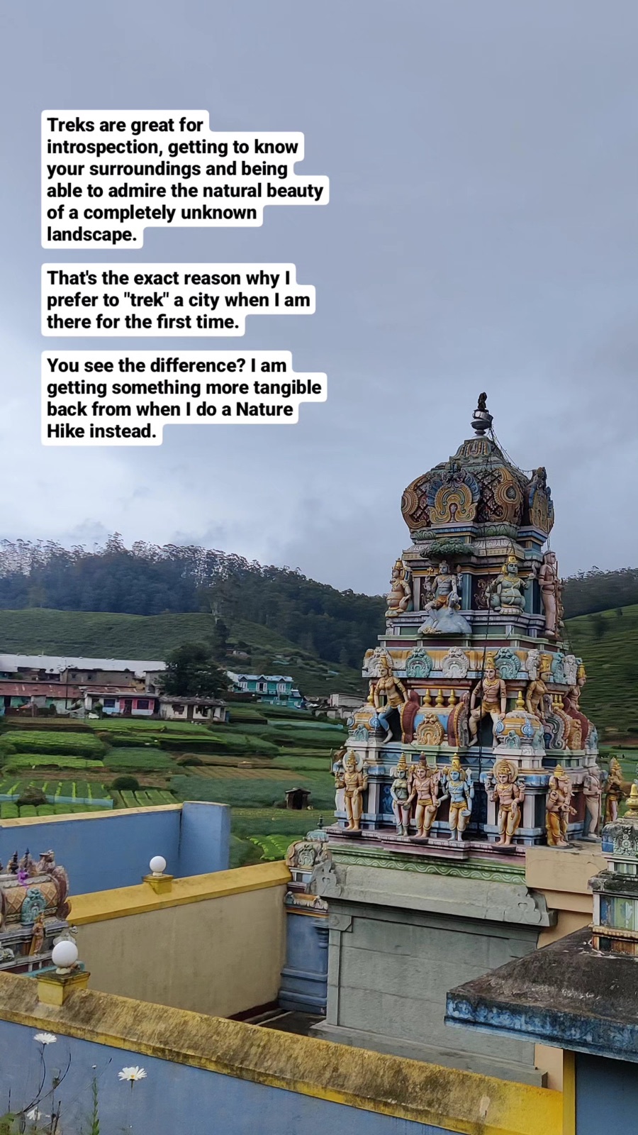 A painted Hindu kovil rising out of the tea terraces on the Pekoe Trail