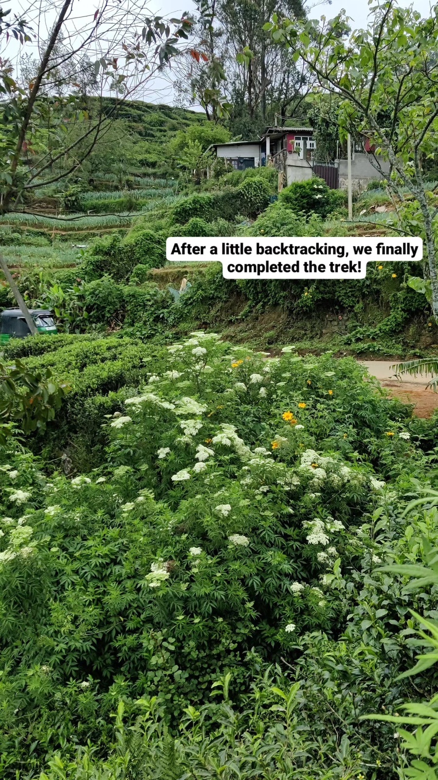 Wildflowers and vegetable farms at the end of the trek after a little backtracking