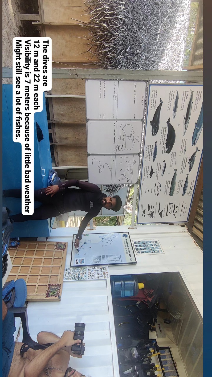 Story frame of the dive plan: 12 and 22 metres, 7 metres visibility in bad weather