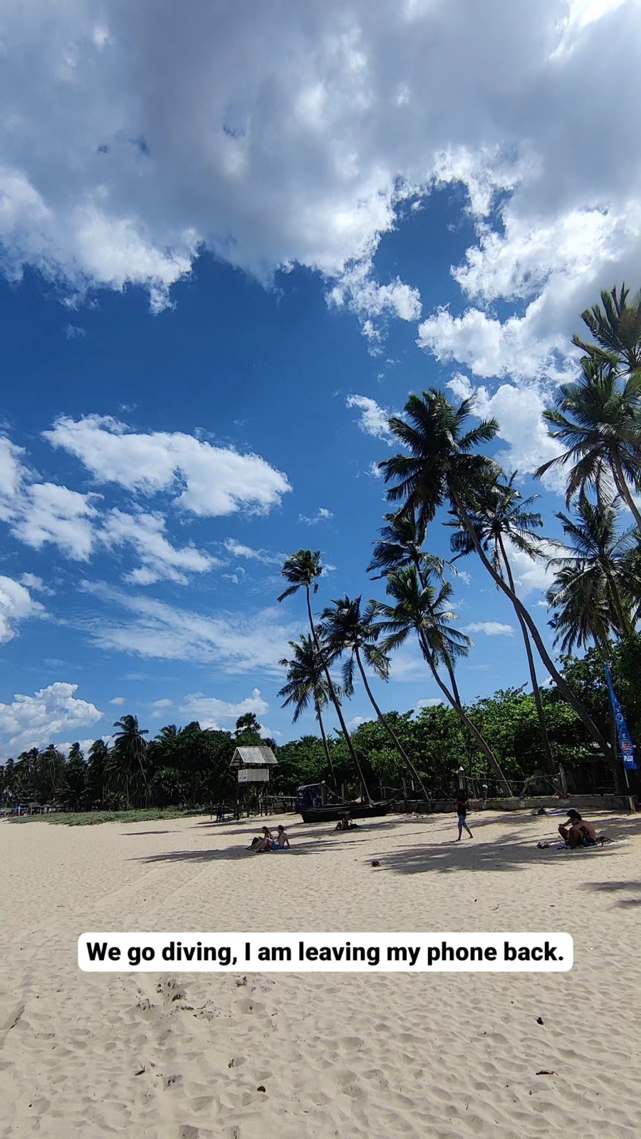 Last look at the palms from the dive boat before going under off Trincomalee