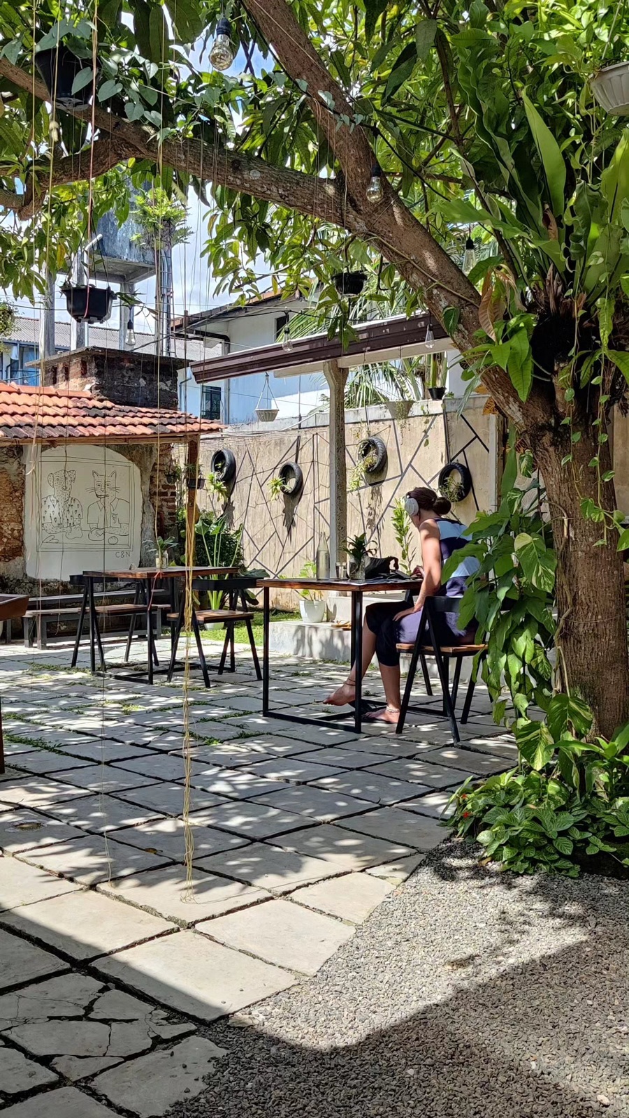 A shady courtyard cafe under a mango tree in Weligama